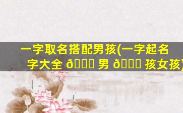 一字取名搭配男孩(一字起名字大全 🐈 男 🐛 孩女孩)